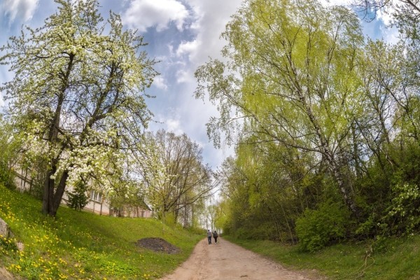 Са 147-годдзем Уладзіміра Адамава, Максім Жукаў! Са 147-годдзем Уладзіміра Адамава, Максім Жукаў!