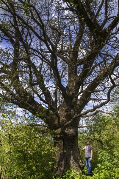 Са 147-годдзем Уладзіміра Адамава, Максім Жукаў! Са 147-годдзем Уладзіміра Адамава, Максім Жукаў!
