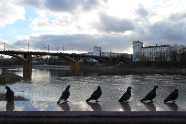 Юрась Шэпелеў — фатограф, які вельмі любіў свой горад і маму