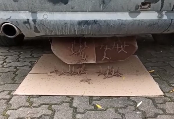 Контрабандисты сделали в Audi тайник, откуда высыпаются шипы на случай погони