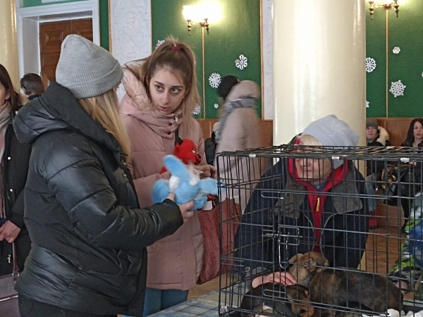 Как Витебский приют «Добрик» Новый год начал? Как Витебский приют «Добрик» Новый год начал?