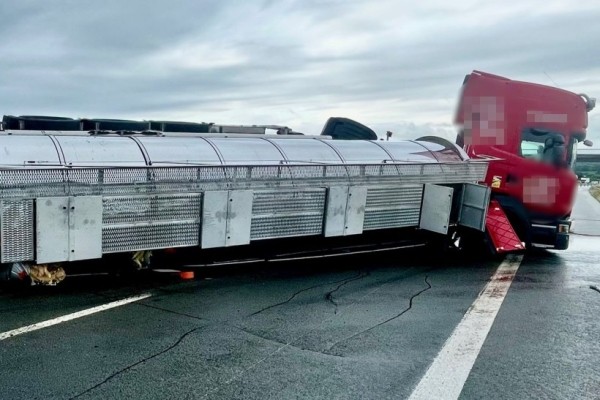 В Германии опрокинулась цистерна с жиром, которой управлял белорус В Германии опрокинулась цистерна с жиром, которой управлял белорус