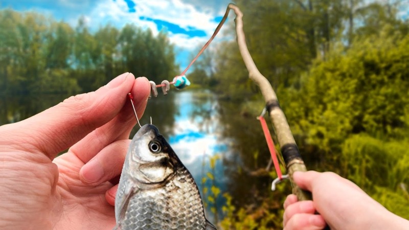 Трагедия на Зароновском озере: пенсионер найден мертвым во время рыбалки
Трагедия на Зароновском озере: пенсионер найден мертвым во время рыбалки